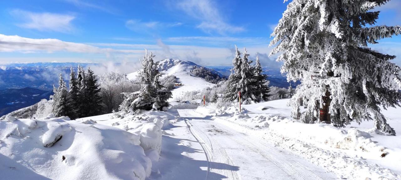 Vikendica Vila Despotovic Kopaonik Exterior photo