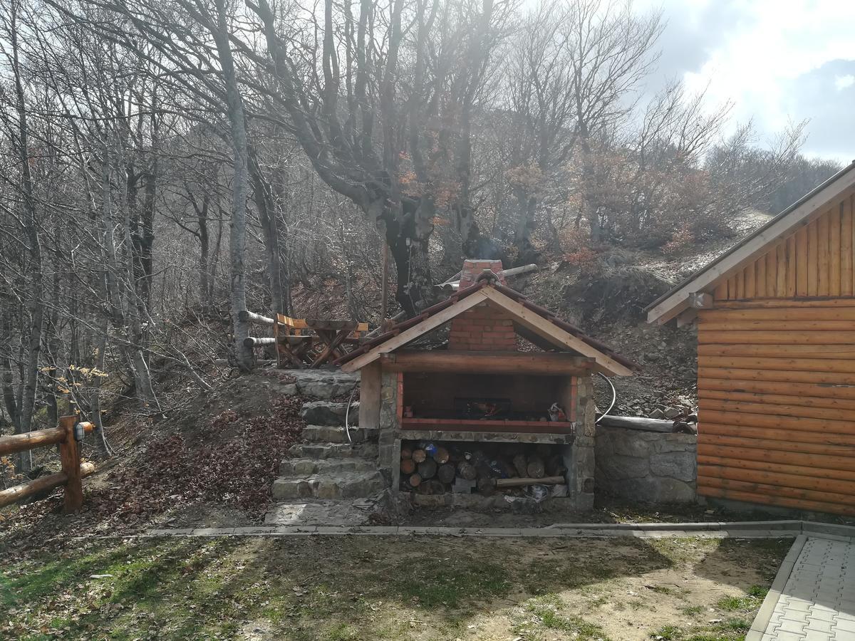 Vikendica Vila Despotovic Kopaonik Exterior photo