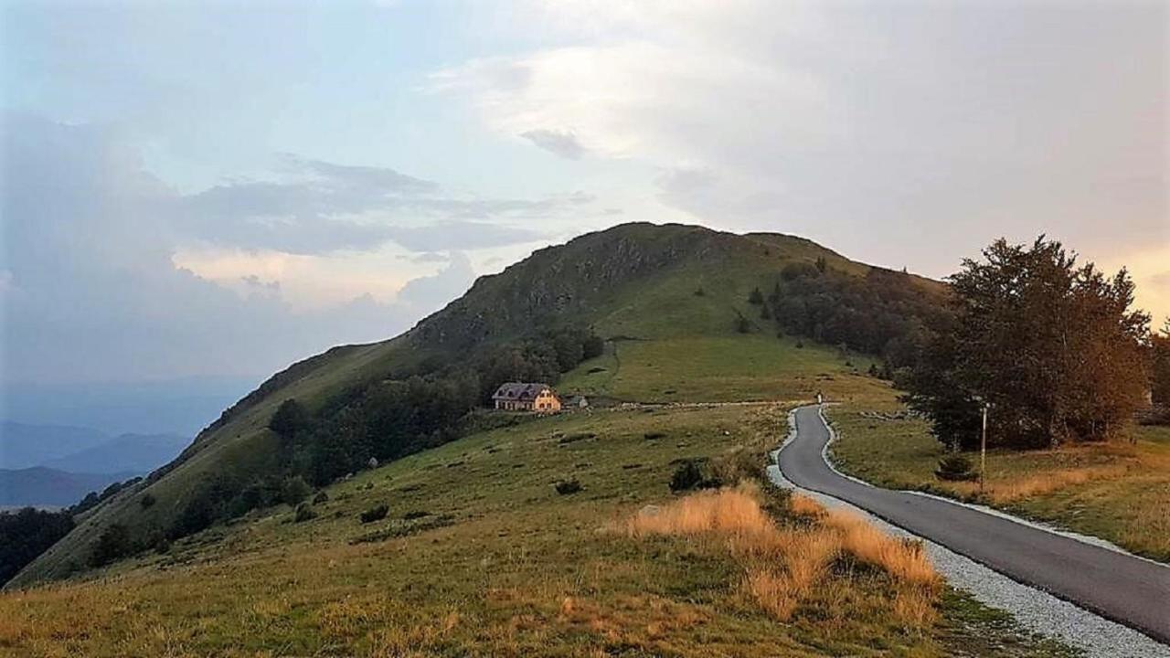 Vikendica Vila Despotovic Kopaonik Exterior photo